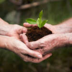 Integrando Sustentabilidade na Estratégia de Marketing: Um Guia para Empresas Conscientes.